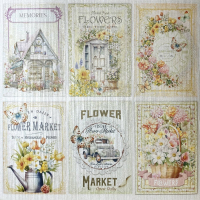 Ciao Bella Flower Shop 6x6 Inch Deluxe Paper Pearl (5pcs) (CBDQ011)